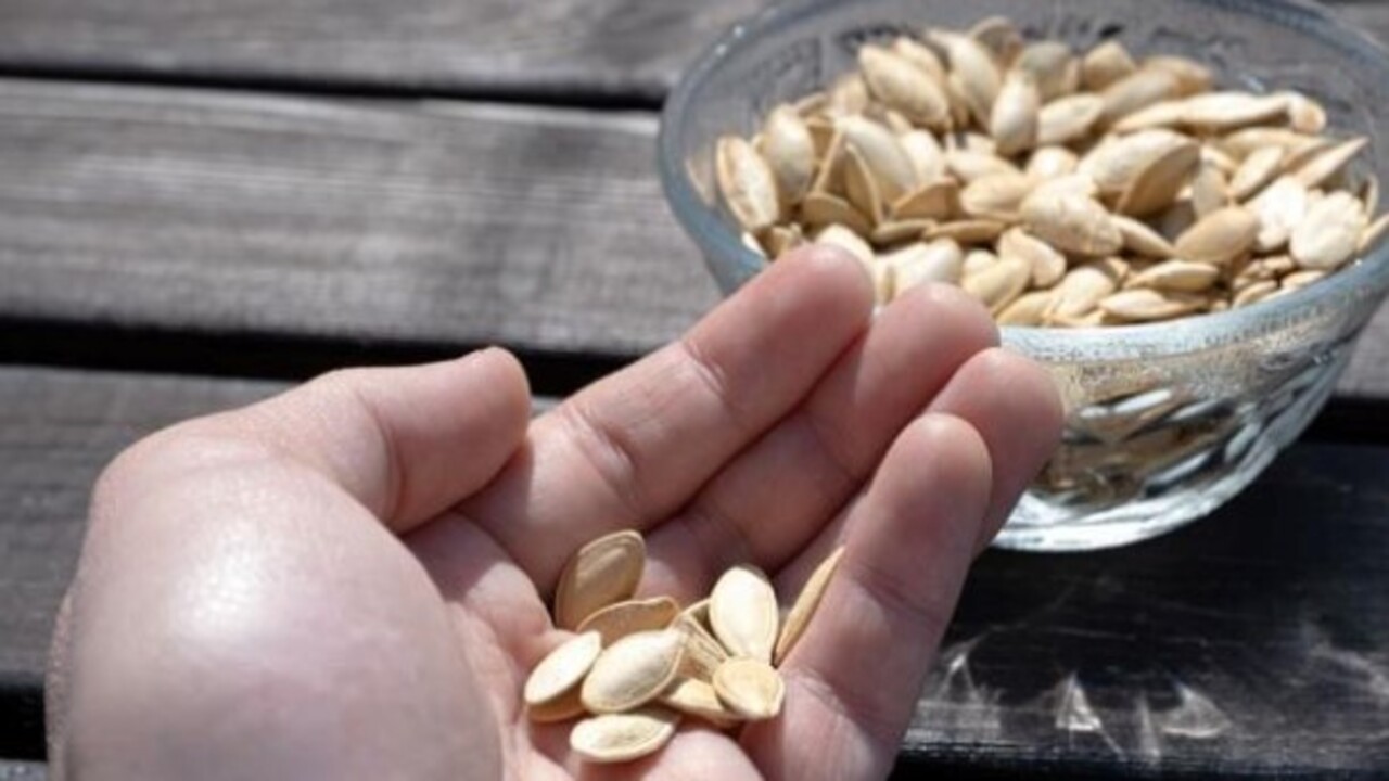 Foto - Ne kadar tüketmek gerekiyor? Magnezyum kaynağının en güçlüsü belli oldu