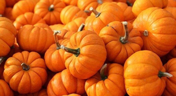 Foto - Ne meyve ne de sebze! Bakın dünyanın en sağlıklı besini neymiş