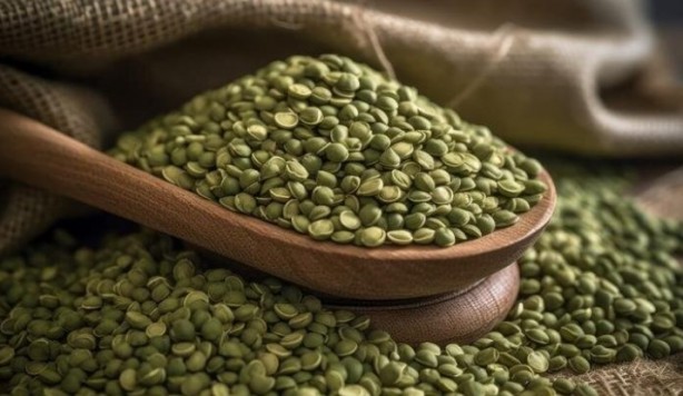 Foto - Ne meyve ne de sebze! Bakın dünyanın en sağlıklı besini neymiş