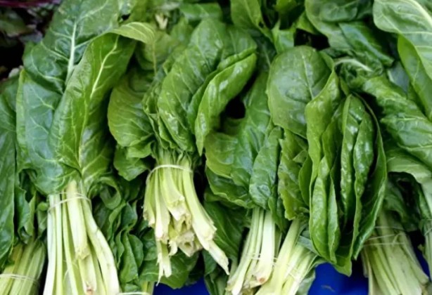 Foto - Ne meyve ne de sebze! Bakın dünyanın en sağlıklı besini neymiş