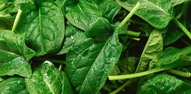 Foto - Ne meyve ne de sebze! Bakın dünyanın en sağlıklı besini neymiş