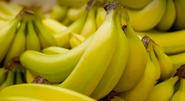 Foto - Ne meyve ne de sebze! Bakın dünyanın en sağlıklı besini neymiş