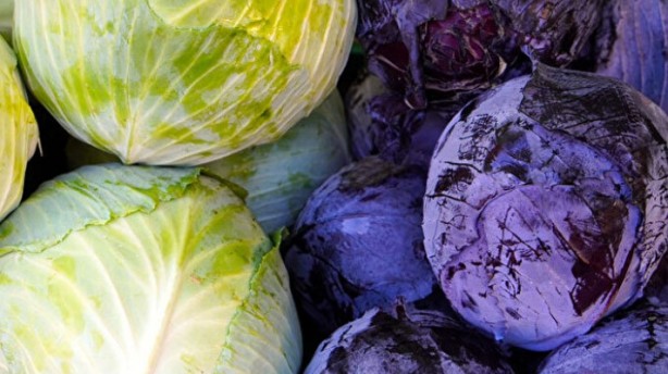 Foto - Ne meyve ne de sebze! Bakın dünyanın en sağlıklı besini neymiş