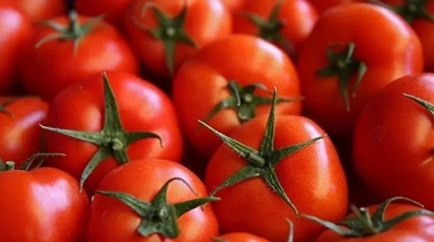 Foto - Ne meyve ne de sebze! Bakın dünyanın en sağlıklı besini neymiş