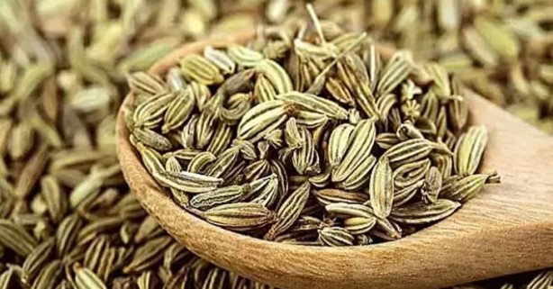 Foto - Ne meyve ne de sebze! Bakın dünyanın en sağlıklı besini neymiş