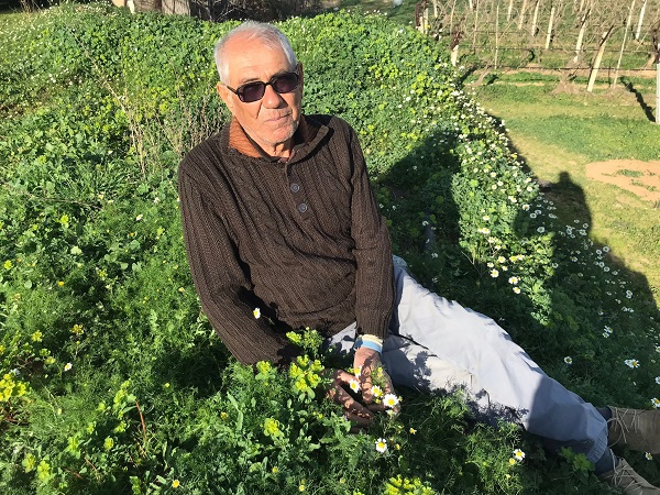 Foto - Ne olduğunu anlayamadılar! Şubat ayında bir ilk... 