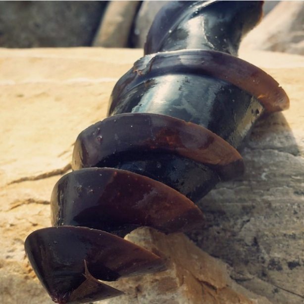 Foto - Ne olduğunu öğrenince hayrete düşeceksiniz