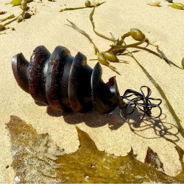 Foto - Ne olduğunu öğrenince hayrete düşeceksiniz