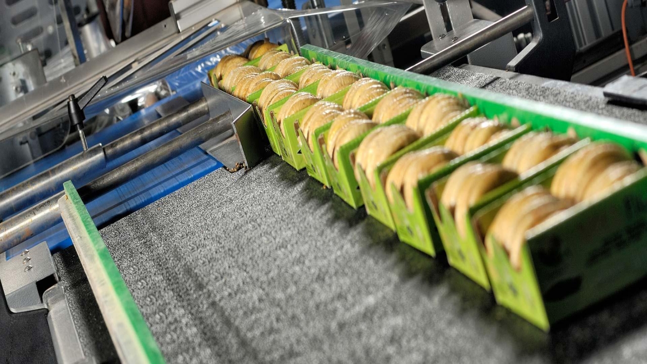 Foto - Ne olduysa sessiz sedasız oldu! 14 ülkeye ihracat yapan Türk gıda devi iflasın eşiğinde