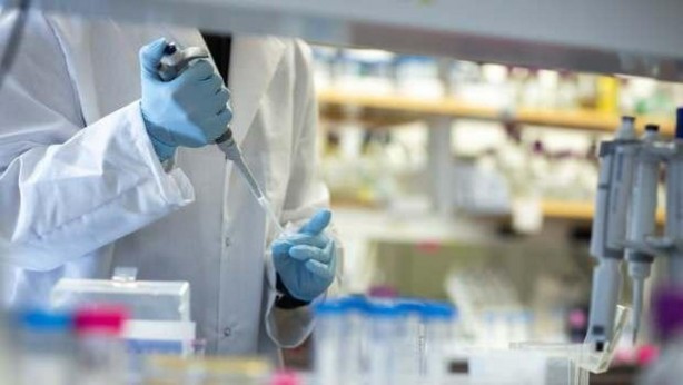 Ne vizon ne yarasa! İşte Omicron'un kökeni