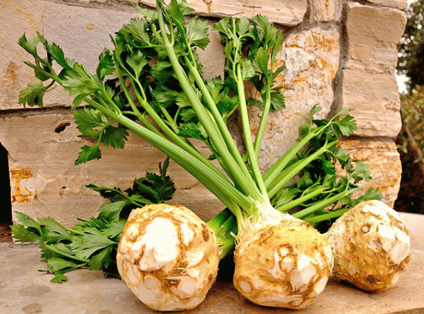 Foto - Ne yapın edin bu yiyecekleri asla tekrar ısıtmayın! İşte zehir saçan o 8 yiyecek