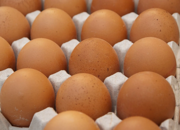 Foto - Ne yaptılarsa olmadı! Rusya'dan Türk yumurtası için flaş karar alındı