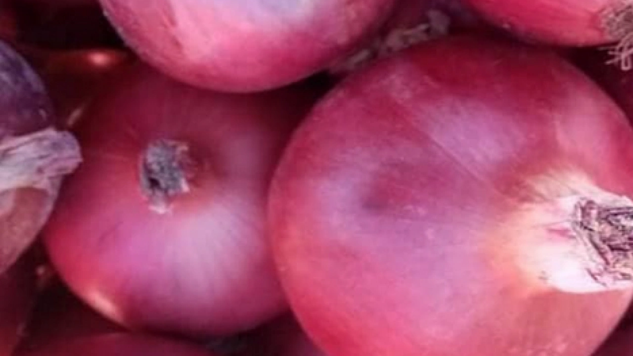 Foto - Ne yumurta, ne peynir, ne zeytin... Hepsini geride bırakıyor! En çok tercih edilen kırmızı soğandaki mucize...