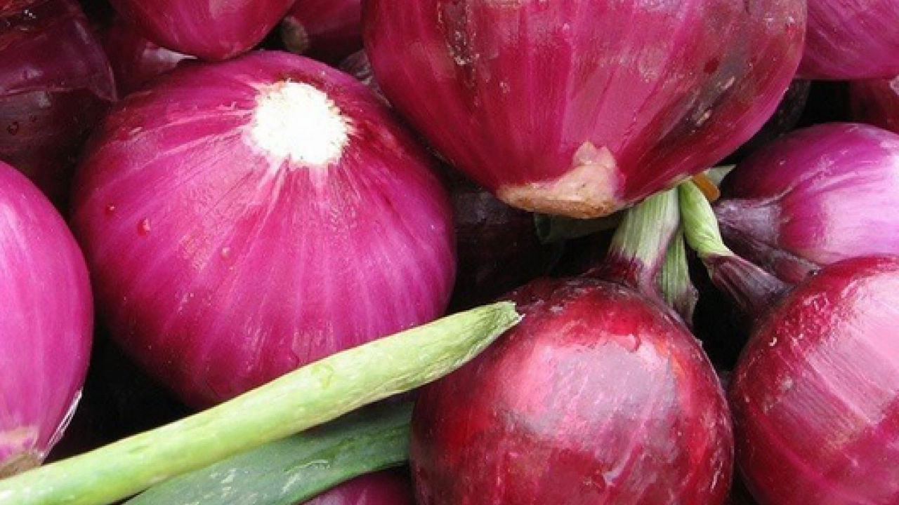 Foto - Ne yumurta, ne peynir, ne zeytin... Hepsini geride bırakıyor! En çok tercih edilen kırmızı soğandaki mucize...