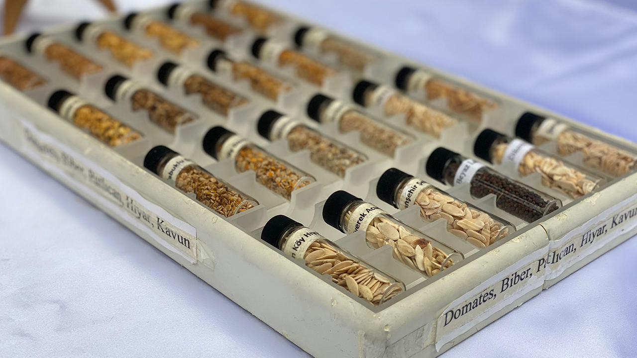 Foto - Ne zaman satılmaya başlanacağı belli oldu! Tarım Kredi Marketlerde ata tohumu dönemi