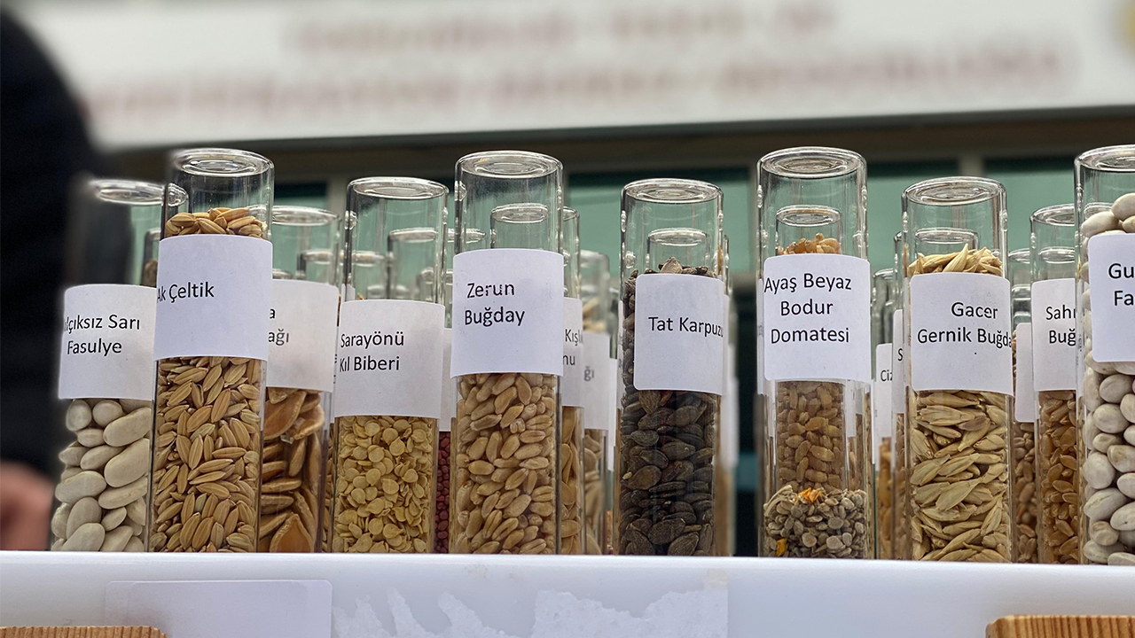 Foto - Ne zaman satılmaya başlanacağı belli oldu! Tarım Kredi Marketlerde ata tohumu dönemi