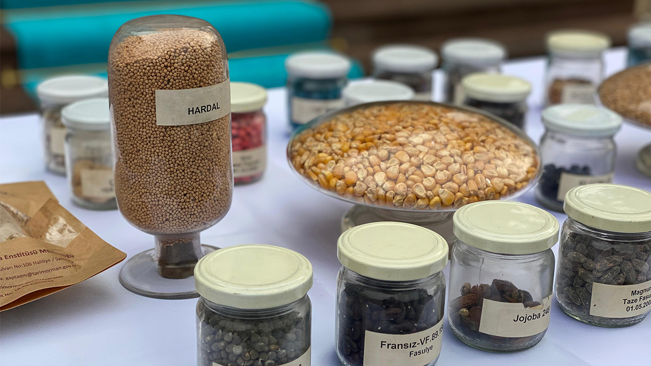 Foto - Ne zaman satılmaya başlanacağı belli oldu! Tarım Kredi Marketlerde ata tohumu dönemi