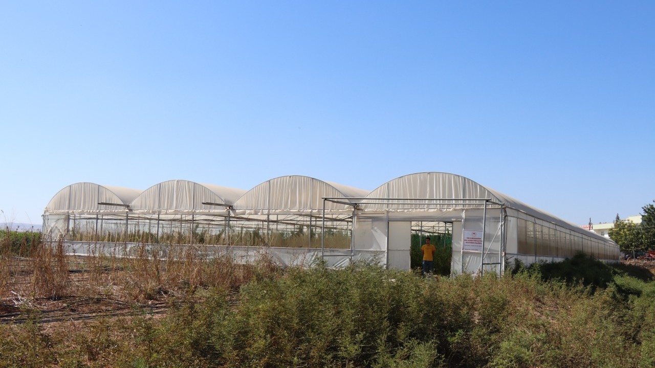 Foto - Neden siz de yapamayasınız! Mezun olur olmaz patron olma hikayesi