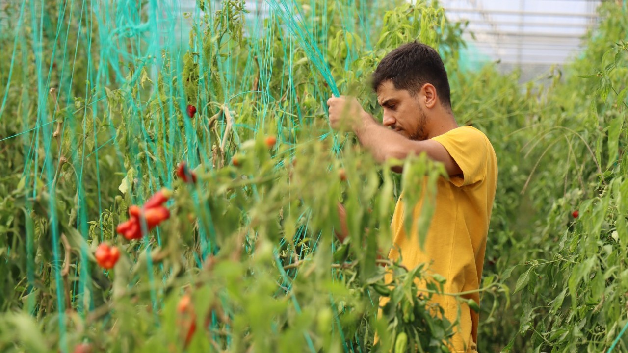 Foto - Neden siz de yapamayasınız! Mezun olur olmaz patron olma hikayesi