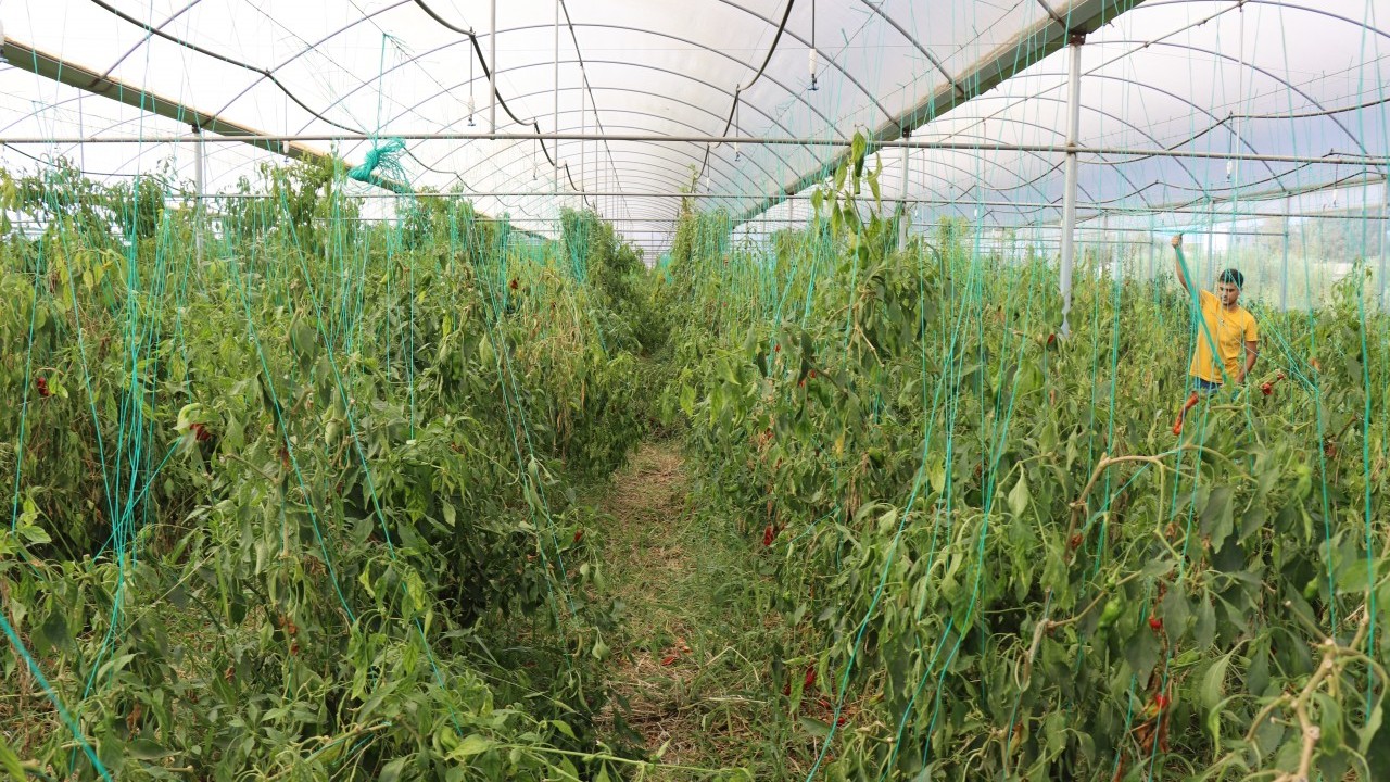 Foto - Neden siz de yapamayasınız! Mezun olur olmaz patron olma hikayesi