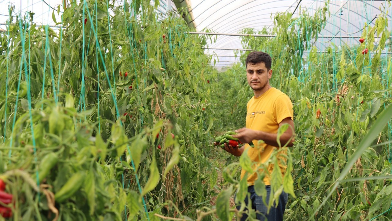 Neden siz de yapamayasınız! Mezun olur olmaz patron olma hikayesi