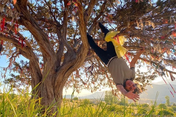 Nedenini duyunca çok şaşıracaksınız! Profesör kendini ağaca bağladı