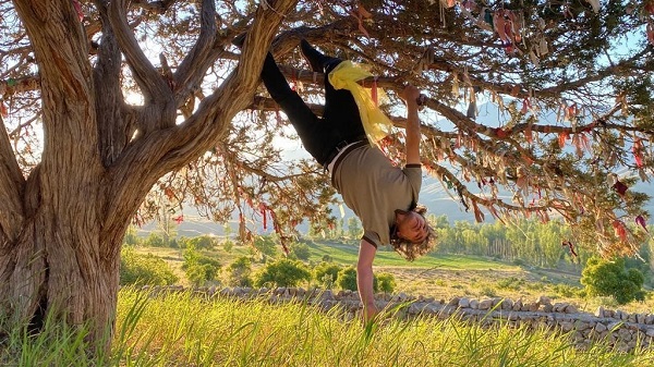 Foto - Nedenini duyunca çok şaşıracaksınız! Profesör kendini ağaca bağladı