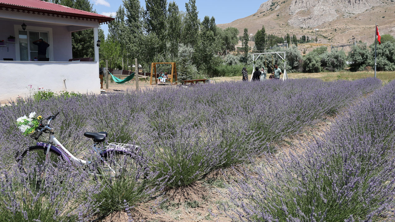 Foto - Nefes alamayan eşine umut oldu! Köyde kurduğu lavanta bahçesiyle hayatları değişti