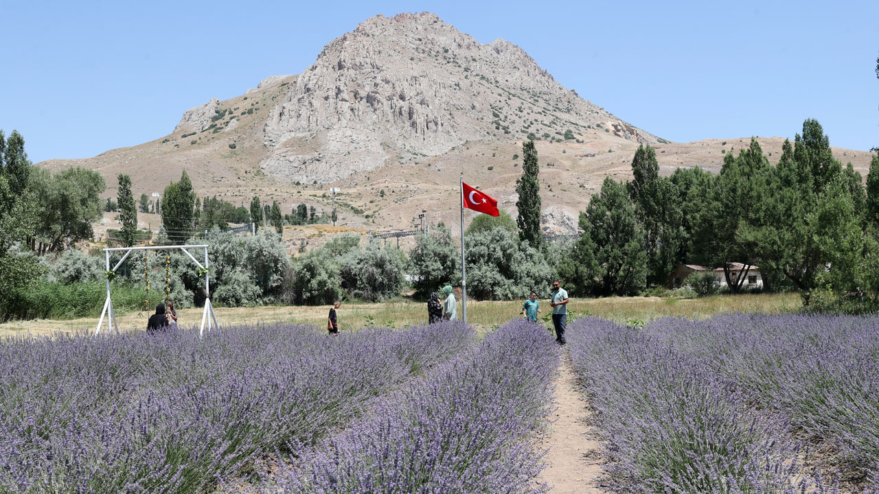 Foto - Nefes alamayan eşine umut oldu! Köyde kurduğu lavanta bahçesiyle hayatları değişti