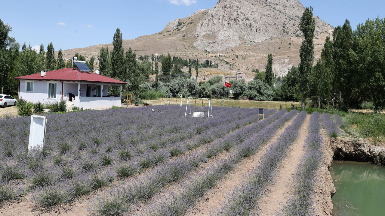 Foto - Nefes alamayan eşine umut oldu! Köyde kurduğu lavanta bahçesiyle hayatları değişti