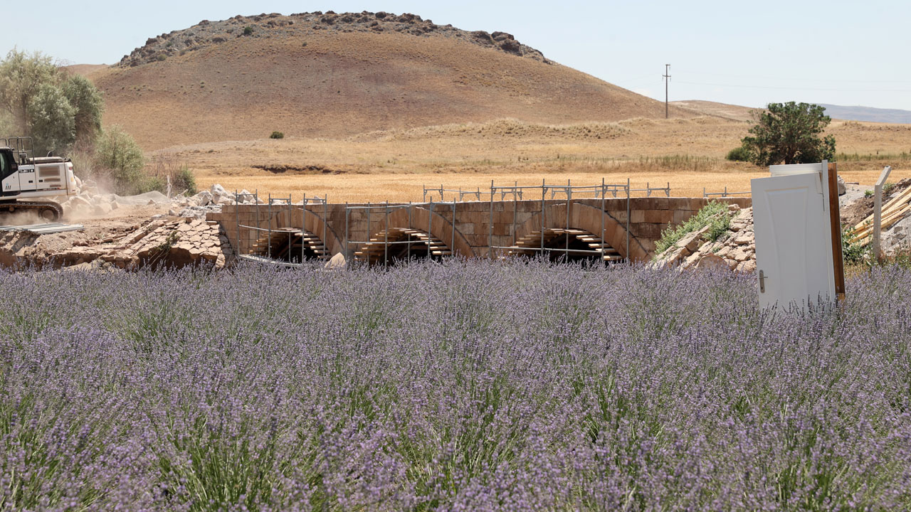 Foto - Nefes alamayan eşine umut oldu! Köyde kurduğu lavanta bahçesiyle hayatları değişti