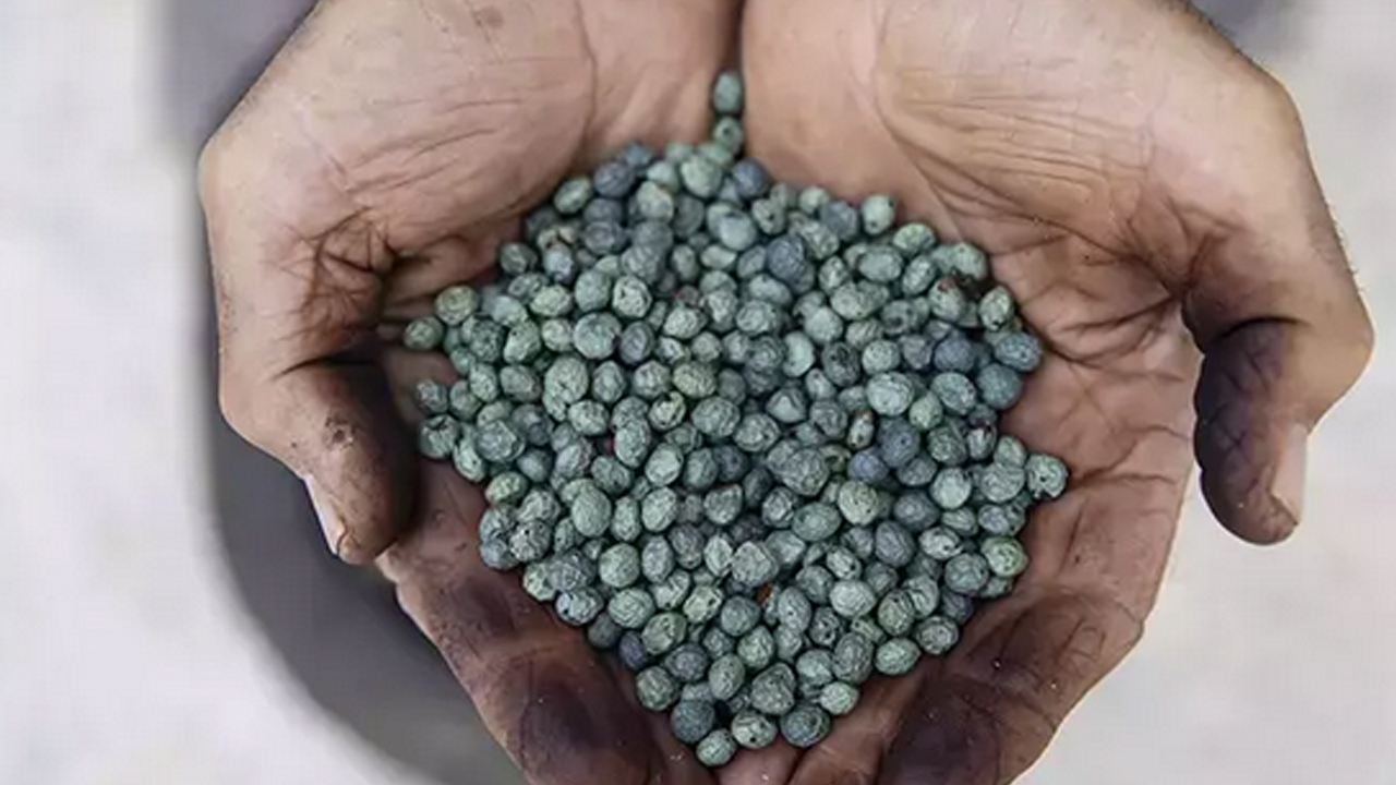 Foto - Nefes darlığının doğal ilacı! Astım, bronşit ve kuru öksürüğün düşmanı: Kahve yapar gibi pişirin