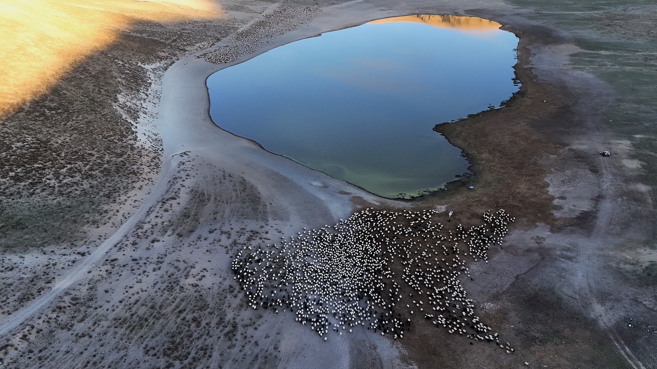 Foto - Nefes kesen göç yolculuğu! 