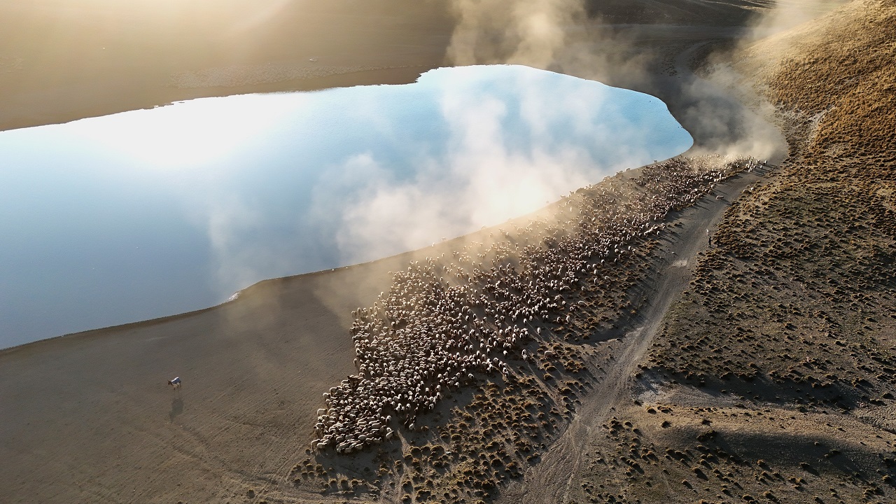 Foto - Nefes kesen göç yolculuğu! 