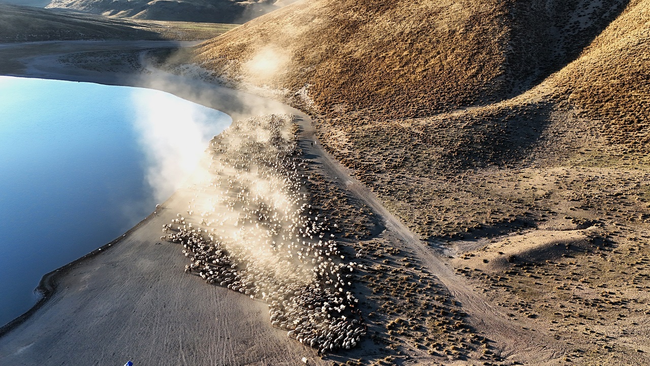 Nefes kesen göç yolculuğu! 