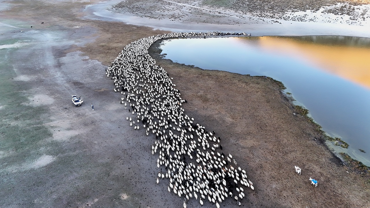 Foto - Nefes kesen göç yolculuğu! 