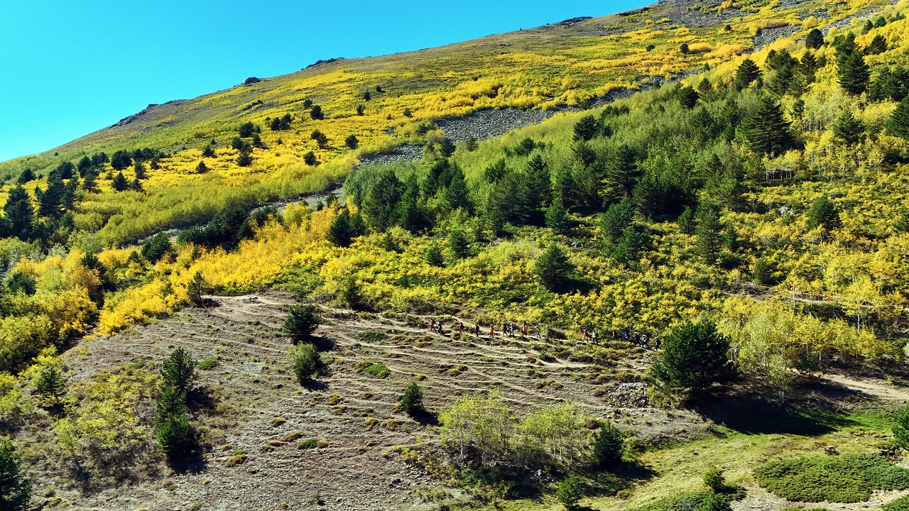 Foto - Nefes kesen sonbahar manzarası