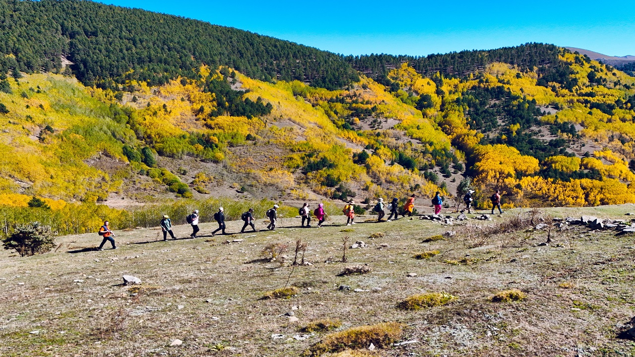 Foto - Nefes kesen sonbahar manzarası