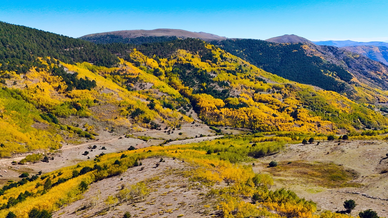 Foto - Nefes kesen sonbahar manzarası