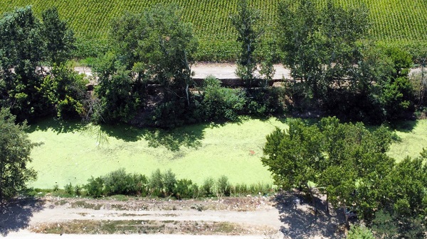 Foto - Nehir kurudu yol çöktü! Tunca Nehri'nin içler acısı hali