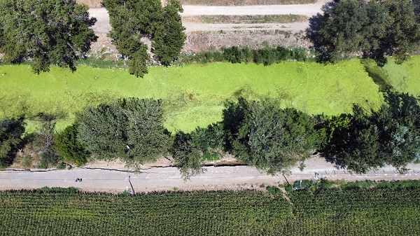 Foto - Nehir kurudu yol çöktü! Tunca Nehri'nin içler acısı hali