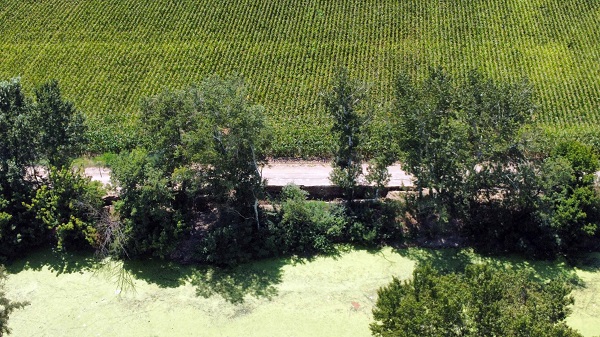 Foto - Nehir kurudu yol çöktü! Tunca Nehri'nin içler acısı hali