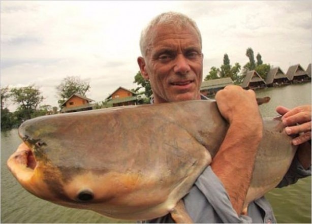 Foto - Nehirde yaşayan korkunç balıklar
