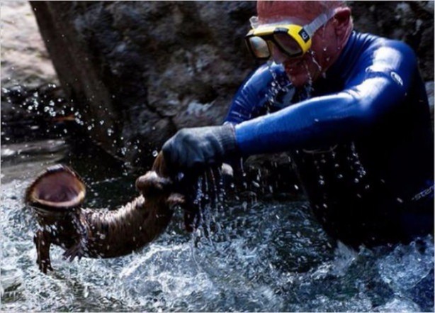 Foto - Nehirde yaşayan korkunç balıklar