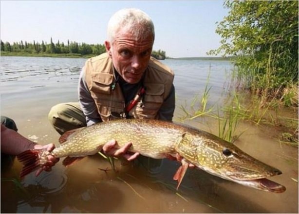 Foto - Nehirde yaşayan korkunç balıklar