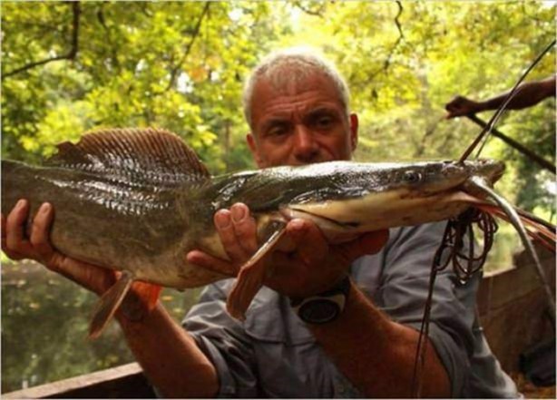Foto - Nehirde yaşayan korkunç balıklar
