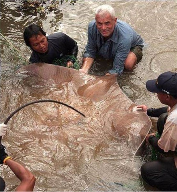 Foto - Nehirde yaşayan korkunç balıklar