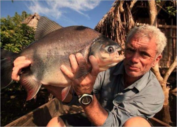 Foto - Nehirde yaşayan korkunç balıklar