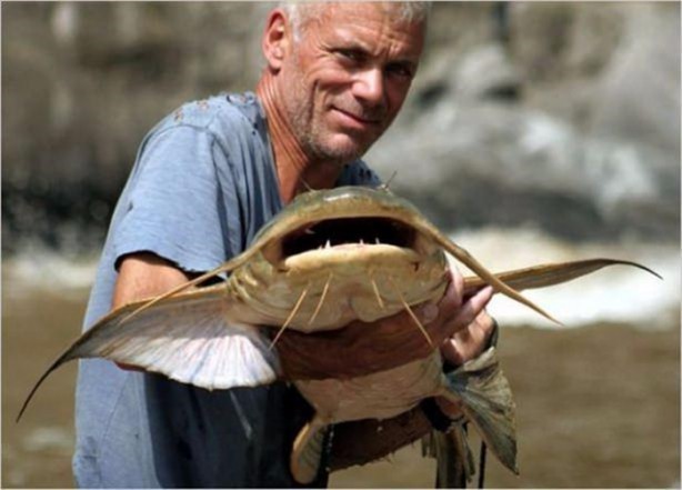 Foto - Nehirde yaşayan korkunç balıklar