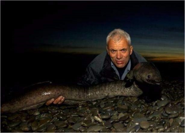 Foto - Nehirde yaşayan korkunç balıklar